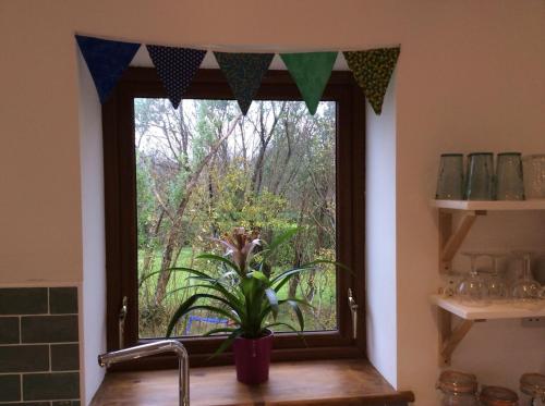 Ein Garten an der Unterkunft Muckish View F92P6N3 Gure Txokoa Falcarragh