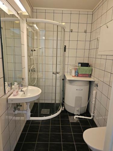 a bathroom with a shower and a toilet and a sink at Mountain view 2 in Håra