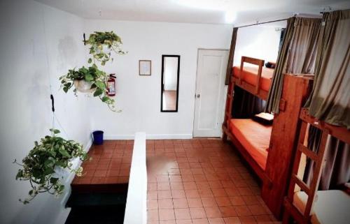 Ένα ή περισσότερα κρεβάτια σε δωμάτιο στο BluePepper City Hostel