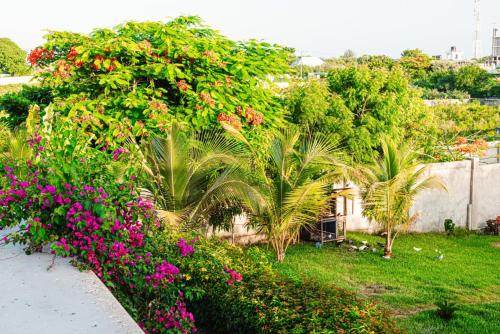 a garden with pink flowers and palm trees and a fence at Secret Garden Villa in Kendwa