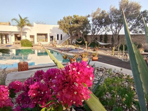 a resort with a pool and flowers in the foreground at Les jardins de Silona, piscine chauffée in Essaouira