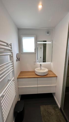 une salle de bain avec un lavabo et un miroir dans l'établissement Thinic appartement VUE MER et SPA, à Saint-Pierre-Quiberon