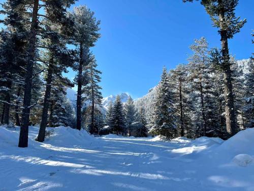 a snow covered path in a forest with trees at Quattro Malyovitsa- Мальовица in Govedartsi