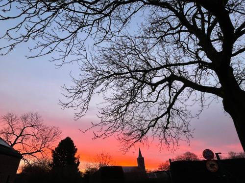 a tree silhouette with a sunset in the background at Chez Madeline in Hannut