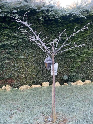 Κήπος έξω από το L'Echo des Bois