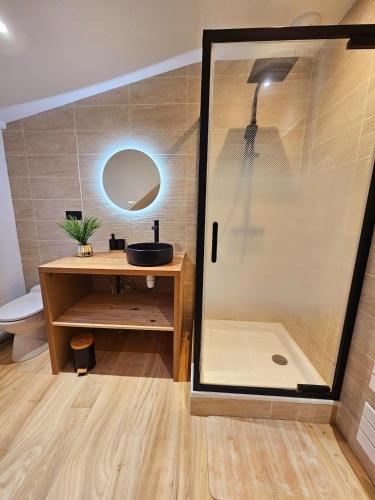 une salle de bain avec une douche avec un lavabo et un miroir dans l'établissement Maison - Cosy - Baie d'Authie, à Berck-sur-Mer