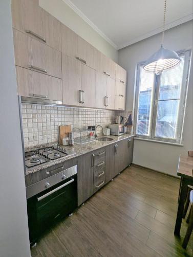 Kuchyň nebo kuchyňský kout v ubytování Elena Apartment