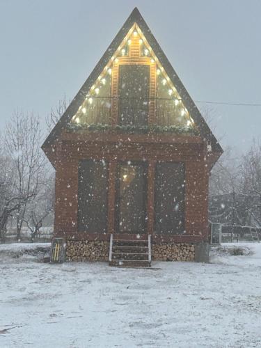 Address number 8 en invierno