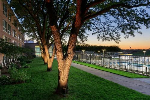 a row of trees in the grass next to a building at South Sioux City Marriott Riverfront in South Sioux City