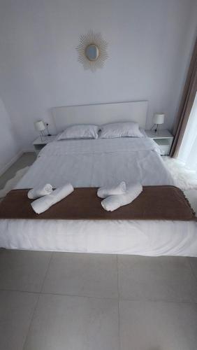 Cora Apartment