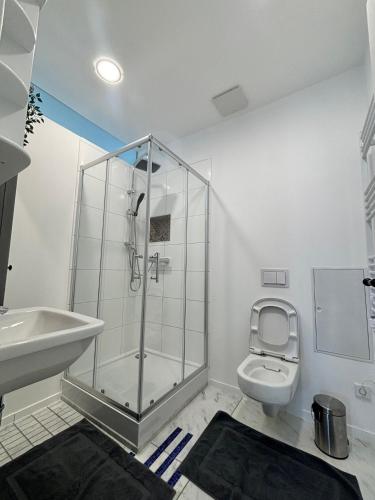 a bathroom with a shower and a toilet at Villa Arche 1 in Neuenkirchen-Vörden