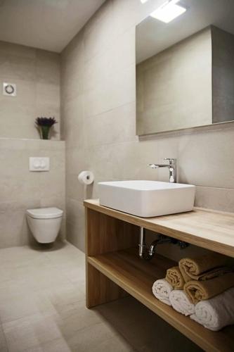 a bathroom with a sink and a toilet at Apartments Božena in Vodice
