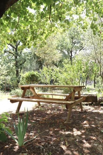 un banc en bois assis sous un arbre dans un parc dans l'établissement Mazet la Clé des FLOTS en bord de rivière, à Collias