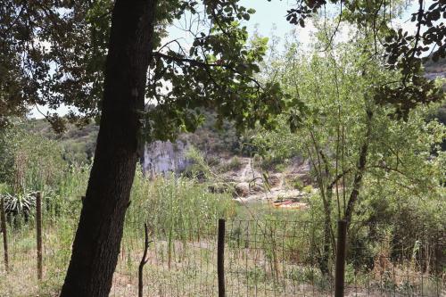 une girafe debout dans un champ derrière une clôture dans l'établissement Mazet la Clé des FLOTS en bord de rivière, à Collias