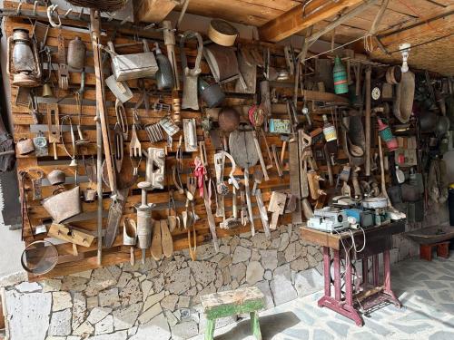 Fotografie z fotogalerie ubytování Casa Cezara v destinaci Silvaşu de Jos