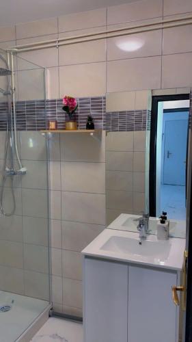 une salle de bain blanche avec un lavabo et une douche dans l'établissement OT Appart City Logement élégant et central, à Clermont-Ferrand