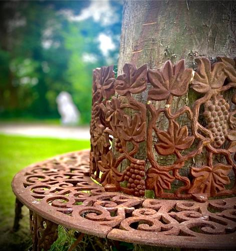 un arbre avec un peuplement en bois avec des raisins sur lui dans l'établissement Domaine du Bal, à Touques