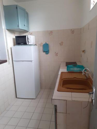 a kitchen with a white refrigerator and a microwave at Pomme Cannelle in Le Lamentin