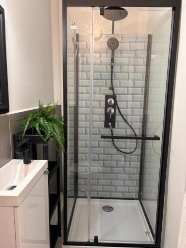 a shower with a glass door in a bathroom at Studio proche de la cité médiévale Crémieu in Dizimieu