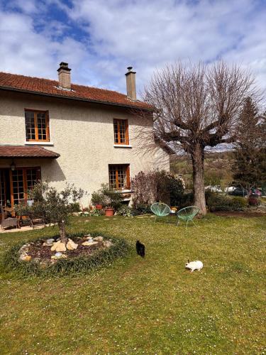 a cat standing in the grass in front of a house at Studio proche de la cité médiévale Crémieu in Dizimieu