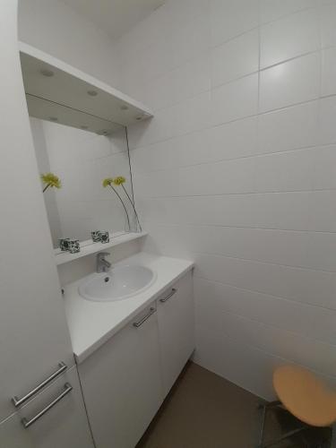 une salle de bain blanche avec un lavabo et un miroir dans l'établissement L'Opaline, Ravissante maison familiale, Wimereux, à Wimereux