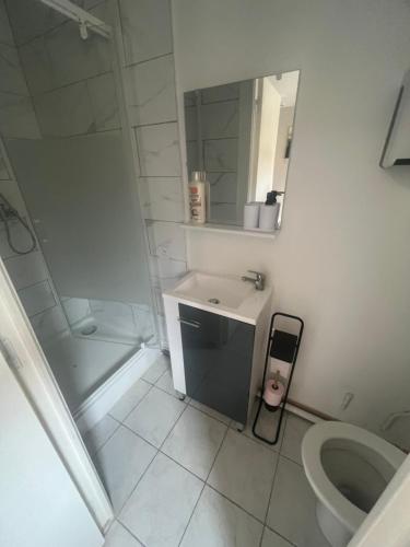 a bathroom with a sink and a toilet and a mirror at Le Manteau Bleu in Béziers