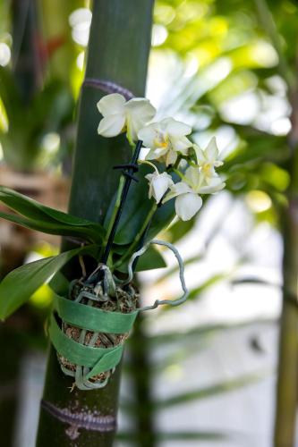 a plant in a pot attached to a pole at American Shoal Light Suite in Key West