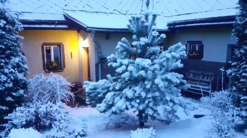 a snow covered tree in front of a house at Chata v Záhoří in Jablonec nad Nisou