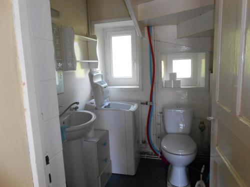une petite salle de bain avec toilettes et lavabo dans l'établissement chez Ernestine, à Pléguien