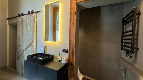 a bathroom with a sink and a shower at Curt da Beta - Casa vacanze con giardino, in Corte del XVIII secolo in Malnate