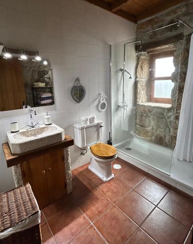 a bathroom with a toilet and a shower and a sink at Quinta do Espigueiro in Celorico de Basto