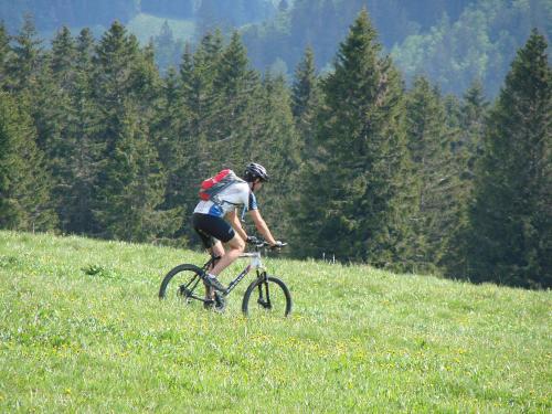 a person riding a bike in a field at Hotel Klosterhof in St. Blasien