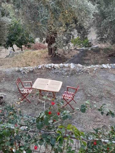 a picnic table and two chairs in a garden at Δωμάτια Κόκκινος Πύργος in Plomarion