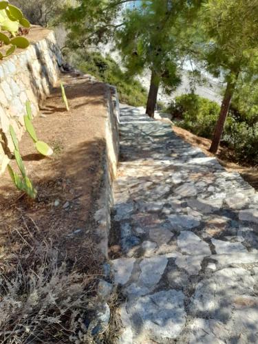 a stone path with trees on the side at Δωμάτια Κόκκινος Πύργος in Plomarion