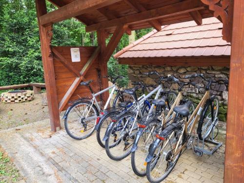 BózsvaにあるSenyő Apartmanの建物の隣に停められた自転車