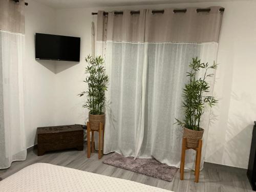 a bedroom with two potted plants in front of a curtain at L'étoile du Pic in Sainte-Clotilde