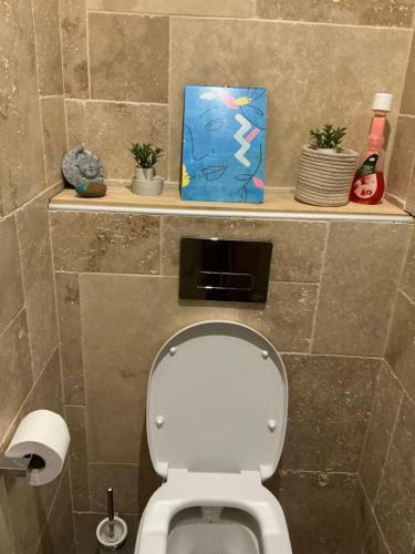 a bathroom with a toilet with a painting on a shelf at L'étoile du Pic in Sainte-Clotilde