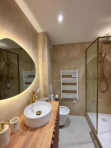 Un baño con lavabo, inodoro y ducha. en Studio 2 Metz Centre-Ville, Gare, en Metz