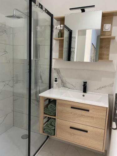 une salle de bain avec un lavabo et une douche dans l'établissement Au petit charmeur!, à Sorbey