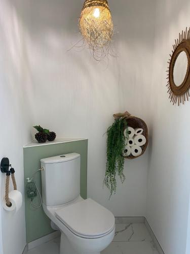 une salle de bain avec toilettes et un lustre dans l'établissement Au petit charmeur!, à Sorbey