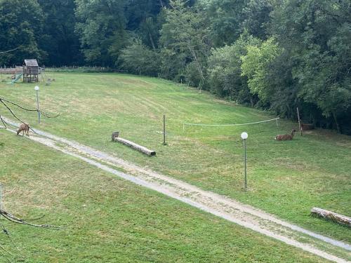 a field with two animals in a field at La Bastide d'Albignac in Le Dourn