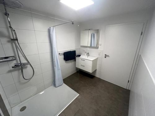 a bathroom with a shower and a sink at Apartment in idyllischer Lage nahe Regensburg in Sinzing