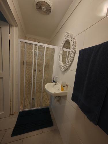 a bathroom with a shower and a sink and a mirror at La Damon 1 in Paarl