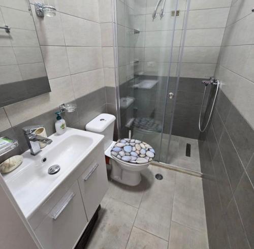 a bathroom with a shower and a toilet and a sink at Blue View Apartment in Himare