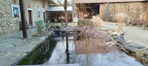 a pond in a yard next to a building at Statek Kloubek in Chabičovice