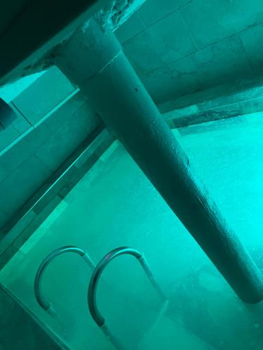 - une vue sur la piscine dans l'établissement Love dream, à Amiens