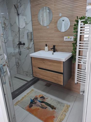 a bathroom with a sink and a shower at Casa Sofia in Târgu Jiu