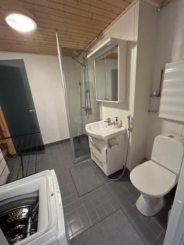 a bathroom with a toilet and a sink and a shower at Cozy Nilsiä Apartment in Nilsiä