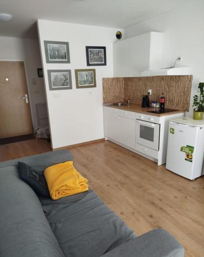 Η κουζίνα ή μικρή κουζίνα στο Apartment Arboria