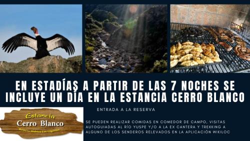 a collage of pictures of a grill with a bird at Chalet interno con rooftop in Villa Carlos Paz
